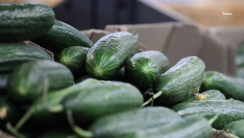      Фото: ИА «Победа26»