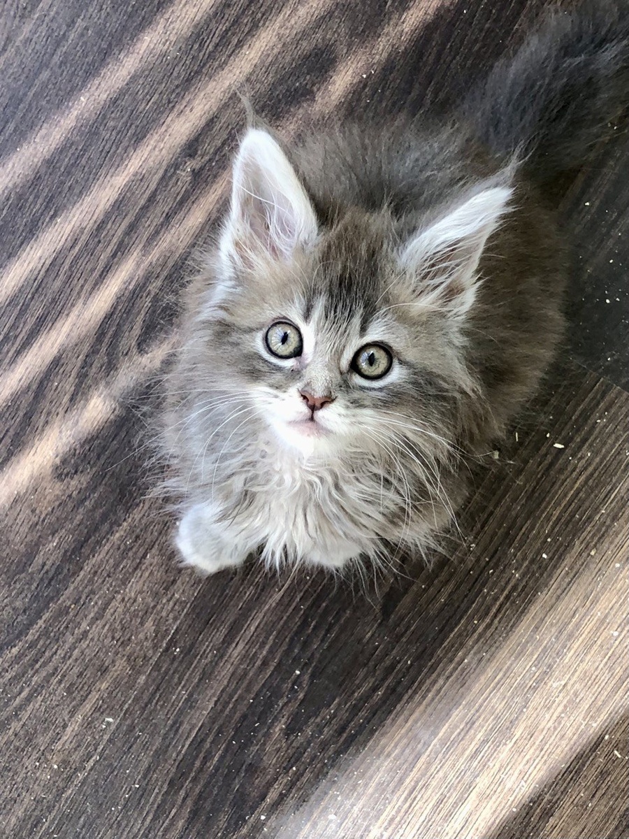 Фото из личного архива.