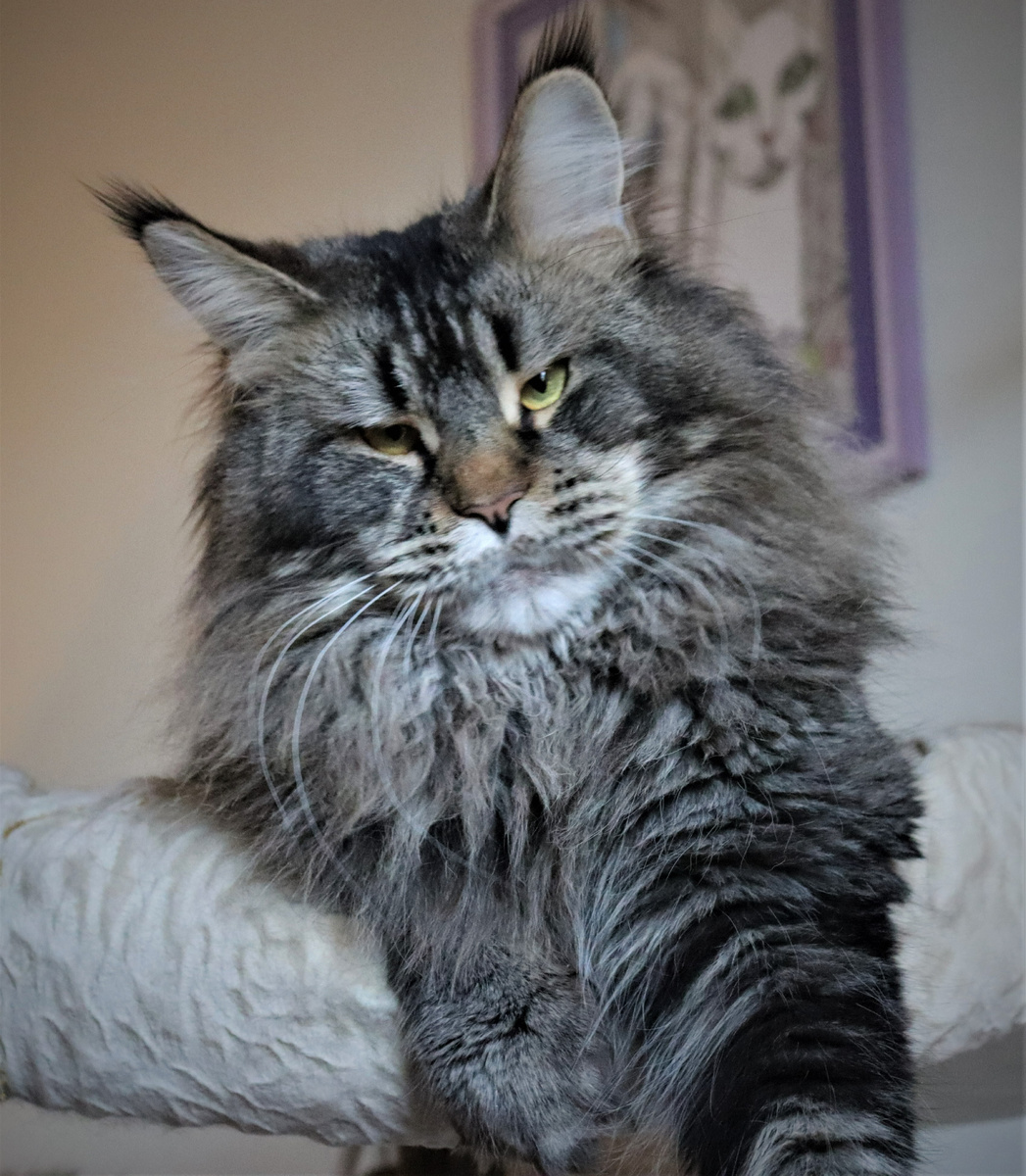 Фото из личного архива.