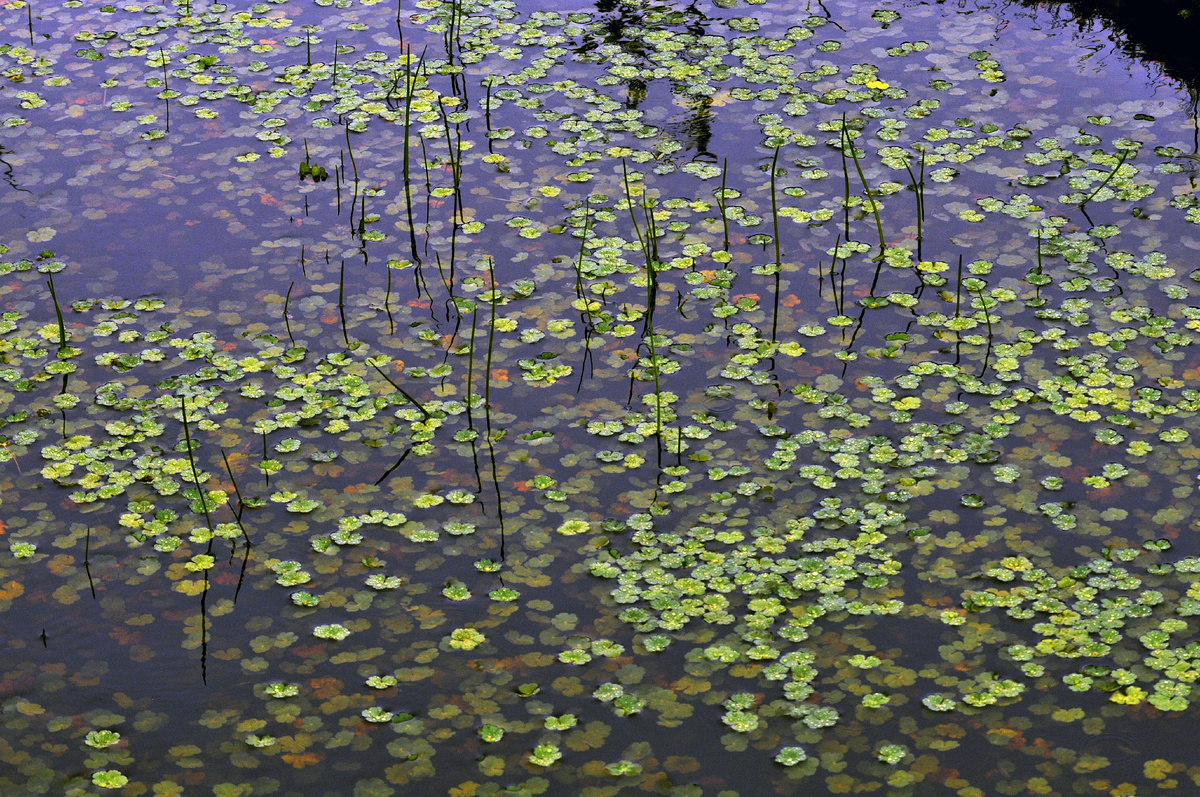 Image by wirestock on Freepik