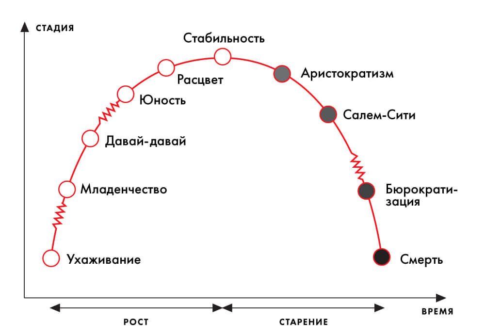 Жизненный цикл организации 