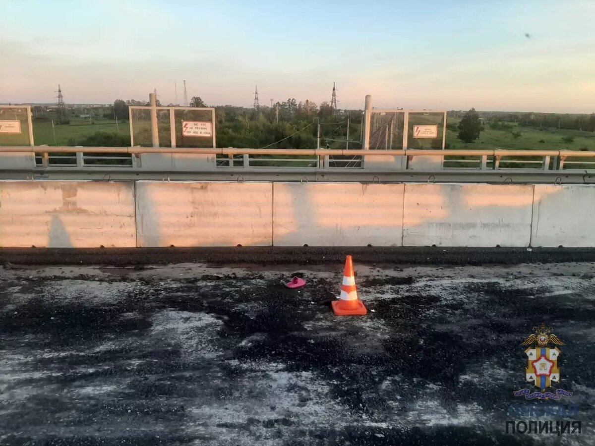     Источник: УМВД РФ по Омской области