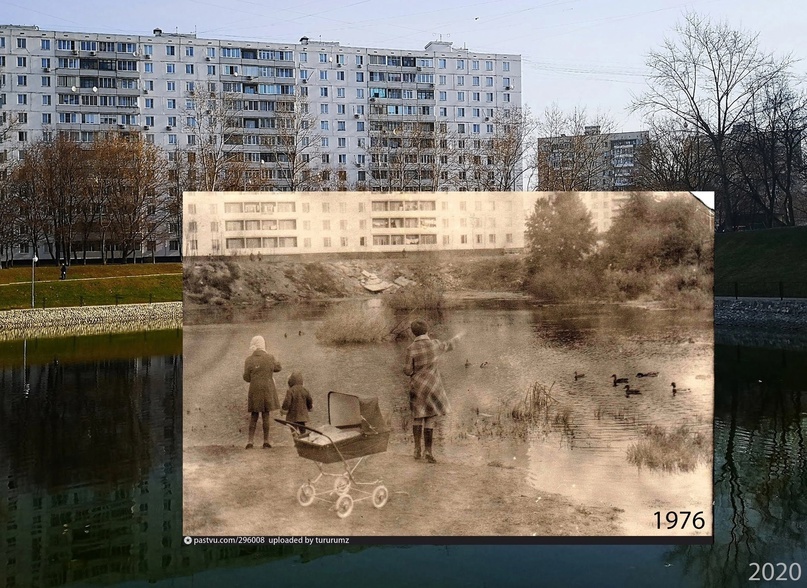 Тот самый пруд. 1976/2020. Иллюстрация из открытых источников.