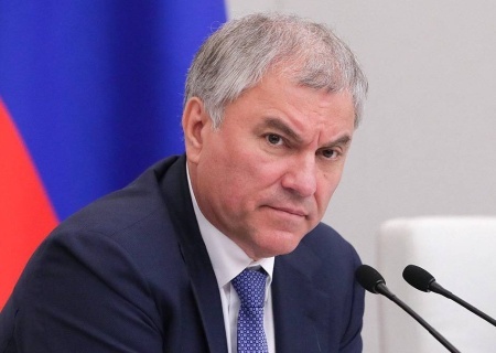    Володин обвинил Бастрыкина в «оскорблении народа» за слова о «Государственной дуре»