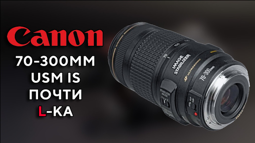 Оптимальный телевик Canon EF 70-300mm f4-5.6 IS USM