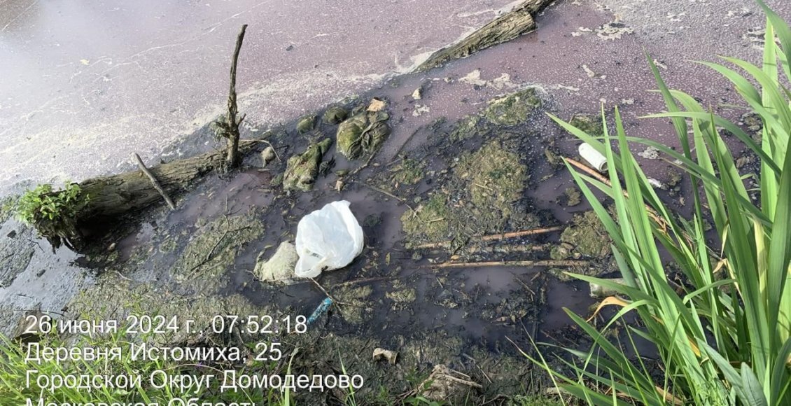    Фото: Аулова Елизавета