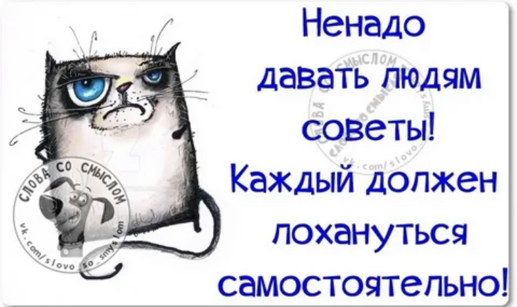 Картинка из открытых источников 