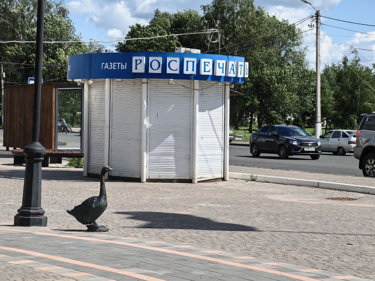 Гусь Паниковского в Юрьев-Польском