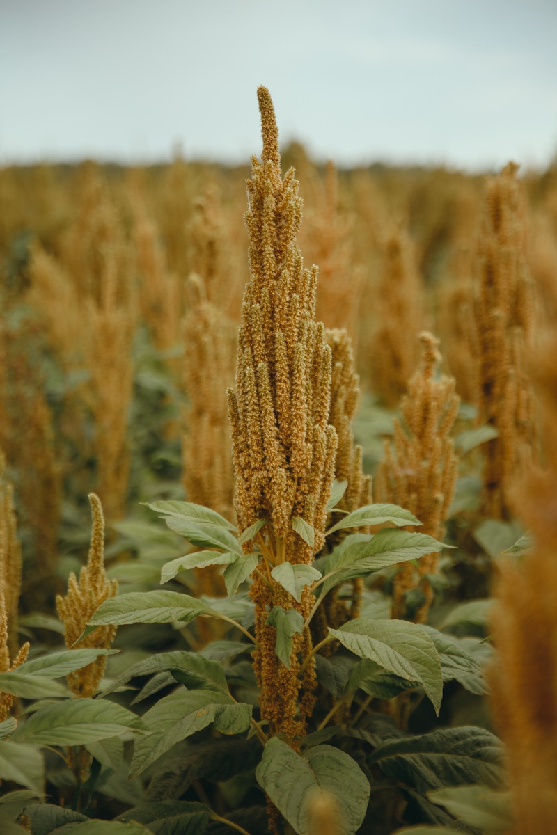       Фото: pr-служба