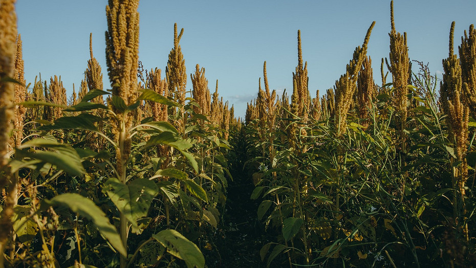     Фото: pr-служба