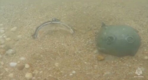    Скрин видео пресс-службы ГУ МЧС по Краснодарскому краю