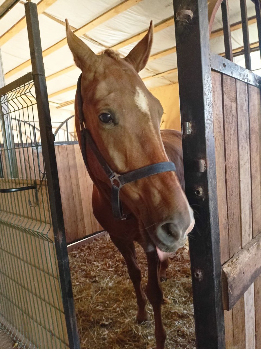 Первый день в новом доме.