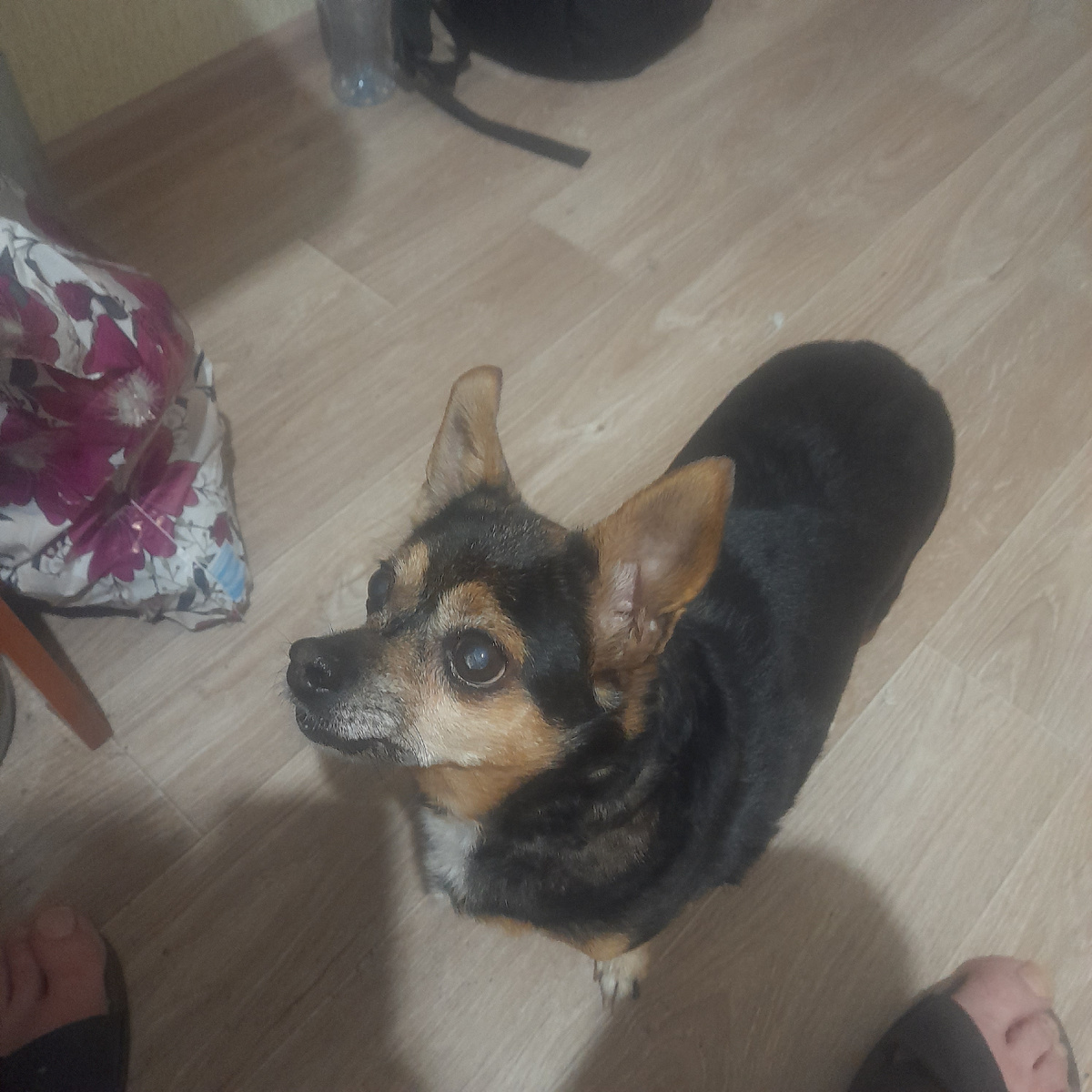 Вот моя находка)