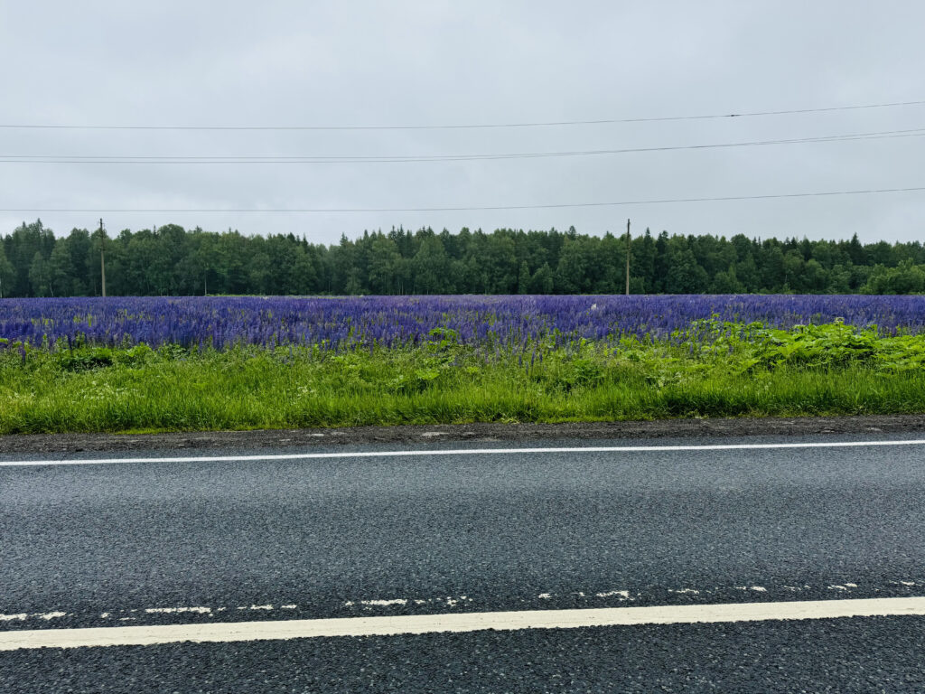    Фото: «В курсе.ру» Елена Воробьева