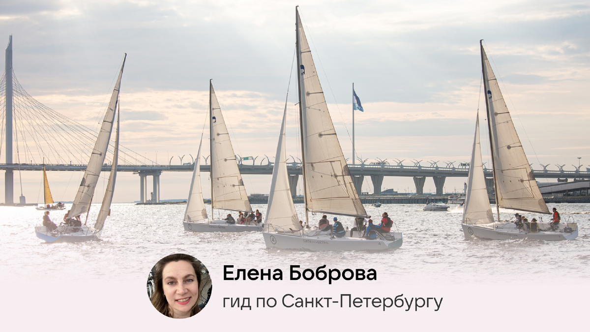 © VK / Сила ветра Петербург / Анастасия Ищенко / Вероника Краснова / Сергей Дмитриев 