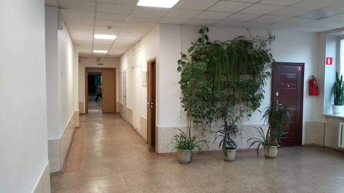     Источник: kursdela.biz