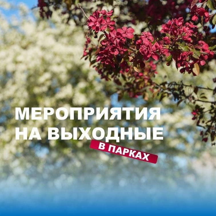 Городское хозяйство Санкт-Петербурга 