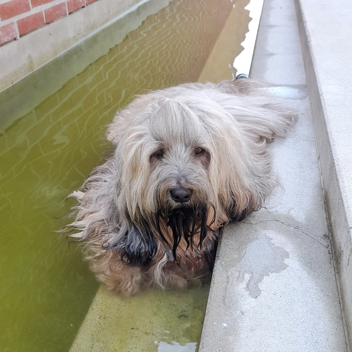 В канавке с водой можно слегка освежиться. Фото из личного архива