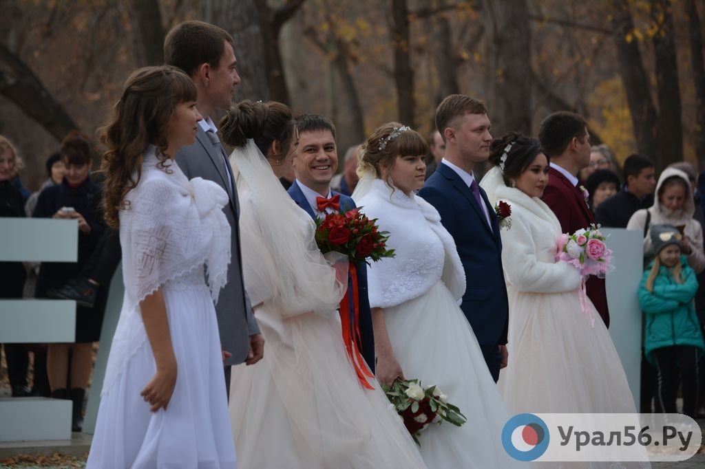    В Оренбургской области в 8 раз может подорожать стоимость развода