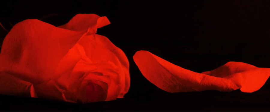    В Нижнем Новгороде пройдет VIII фестиваль нового российского кино «Горький fest» (фото 2)