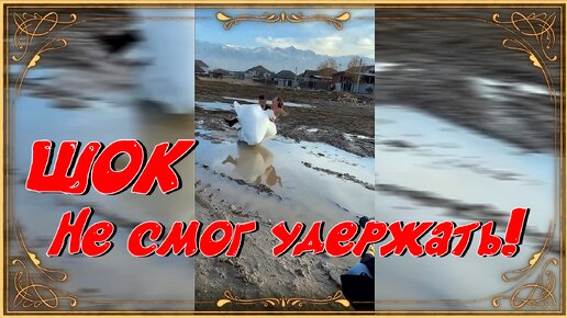 Уникальная фотосессия! Жених не смог удержать невесту!