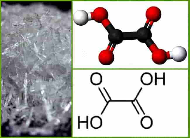 Формула щавелевой кислоты. Изображение взято из интернета