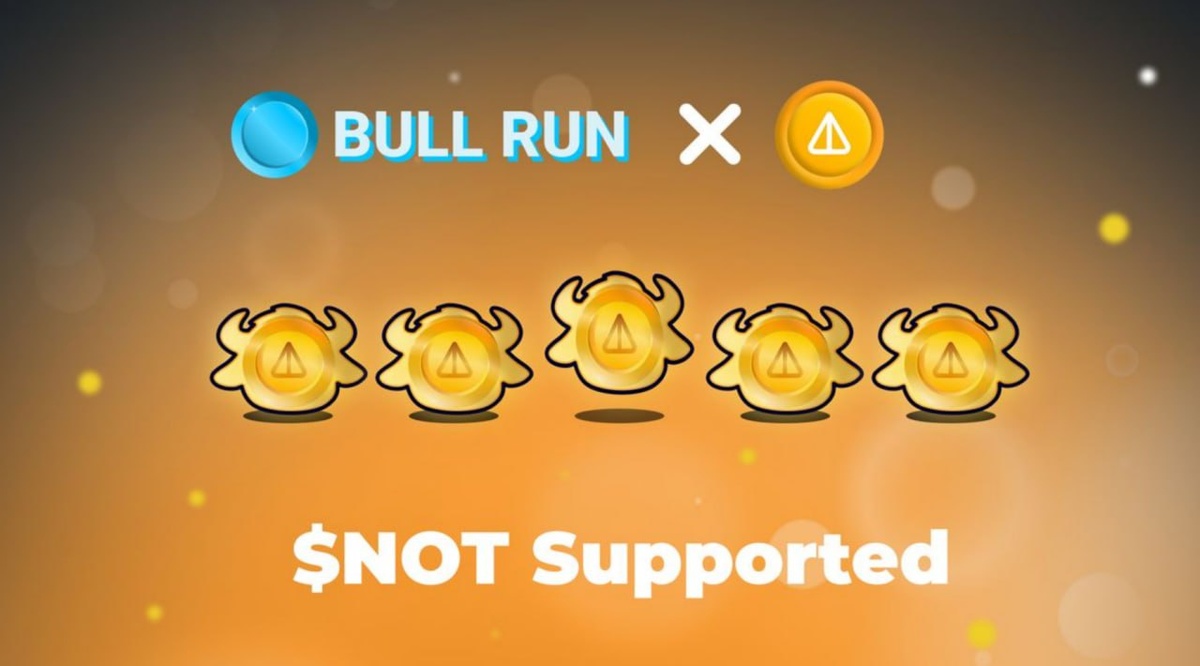 Bull run + Notcoin