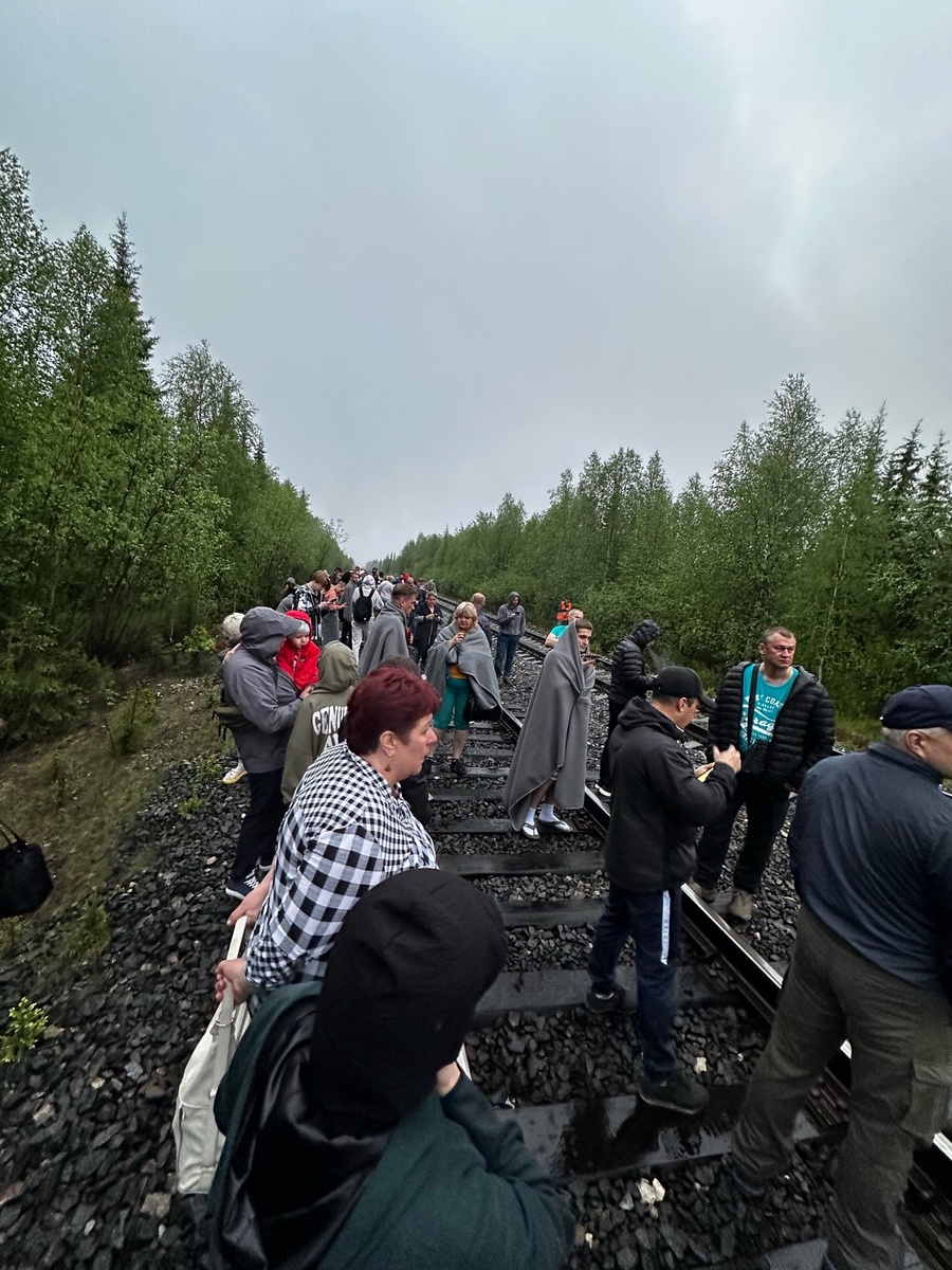 Поезд 516