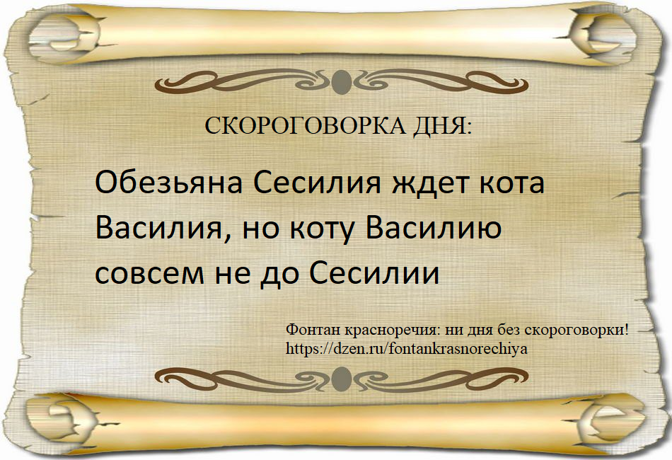 Обезьяна Сесилия ждет кота Василия, но коту Василию совсем не до Сесилии