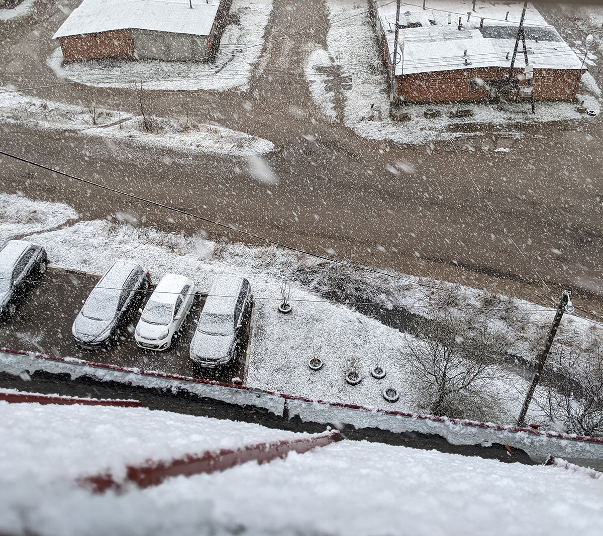 Вид из окна мансарды. 24 апреля 2021 года