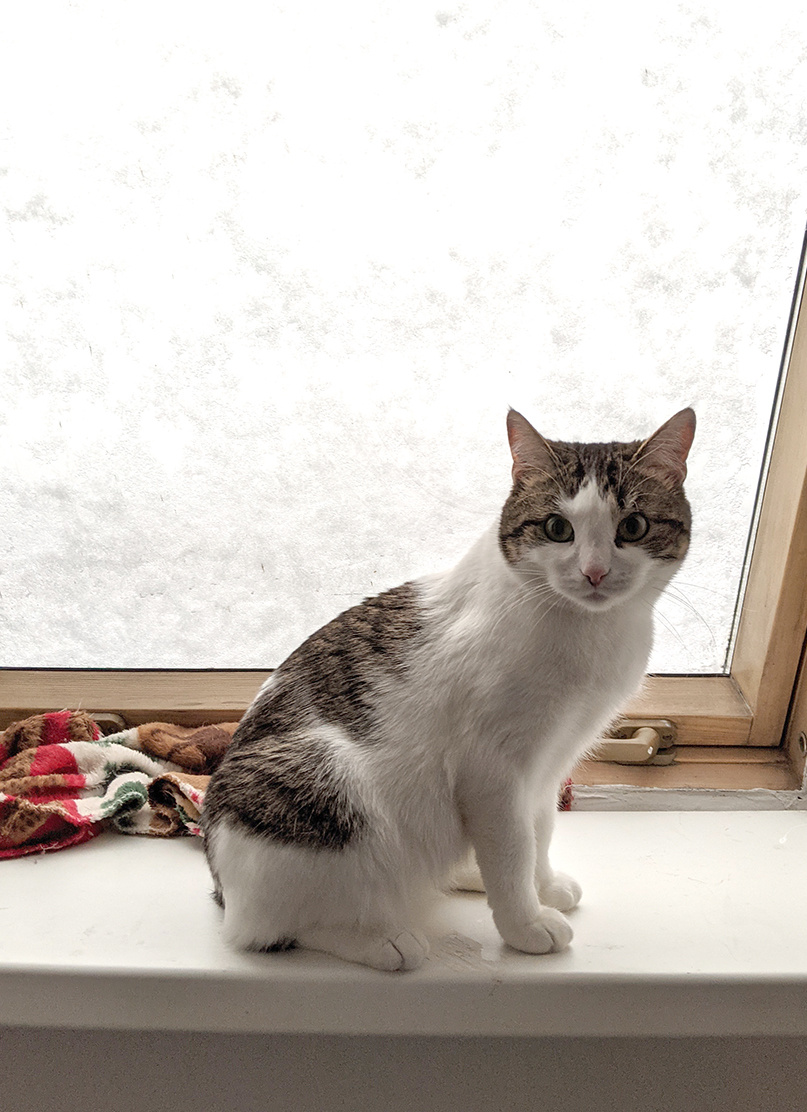 Кошь: Вы зачем снег включили? Отключите!!!