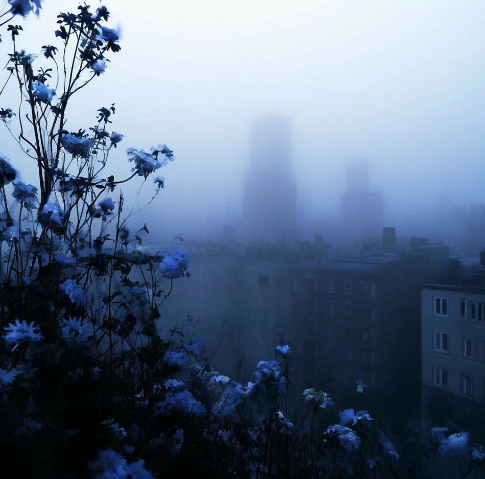 Иллюстрация создана при помощи нейросети