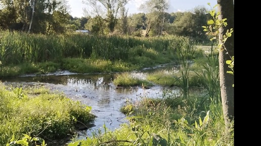 ДАВНО МЫ С ВАМИ ЗДЕСЬ НЕ БЫЛИ 🌿🌿🌿🌿🌿🌿🌿🌿🌿🌿🌿🌿🌿🌿🌿🌿🌿🌿