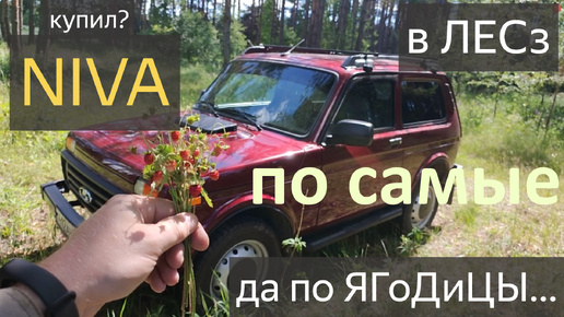 LADA Niva Legend.НИВА ОБЗОР.ПО ЛЕСНОЙ ДОРОГЕ на ЛАДЕ NIVA за ЯГОДАМИ.МОЯ ЯГОДКА НИВА ЛЕГЕНДА ОТЗЫВ.