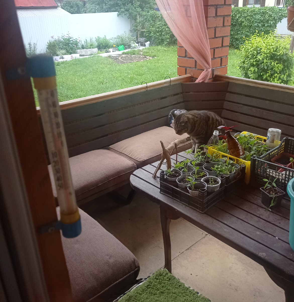 Барсик отдыхает и никого больше