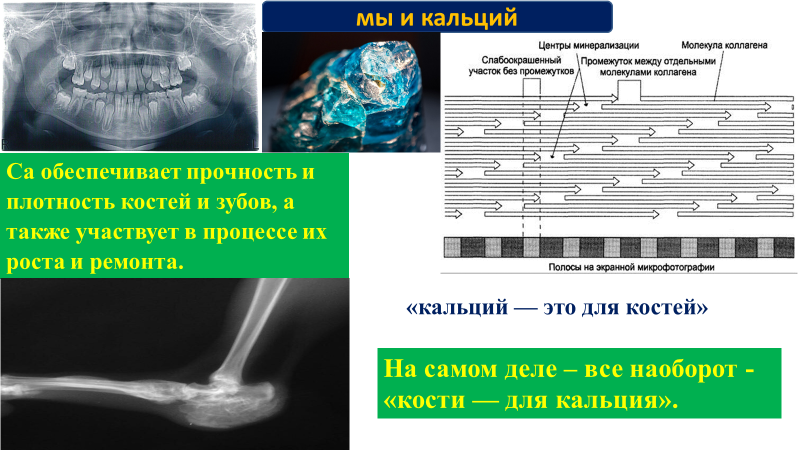 Слайд из презентации книги "Тайны витамина D".