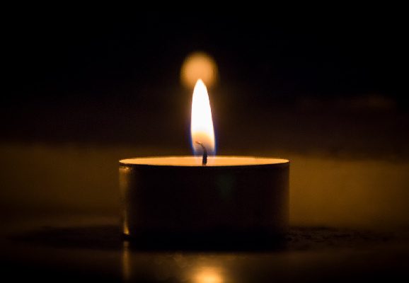    Фото: istock / SergeyPankratov