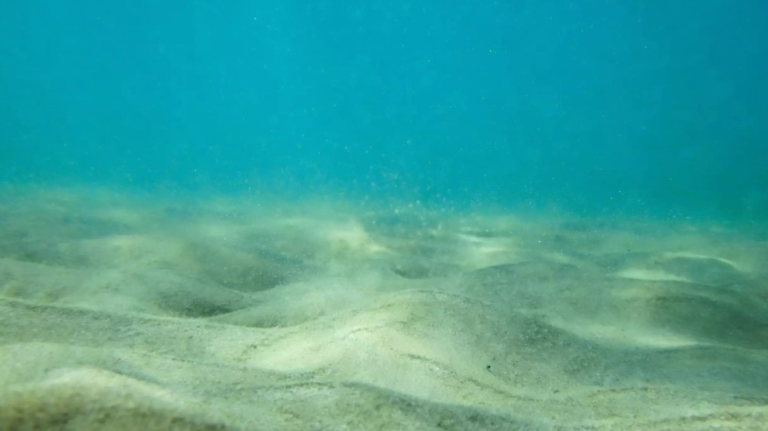     Источник: pxhere.com