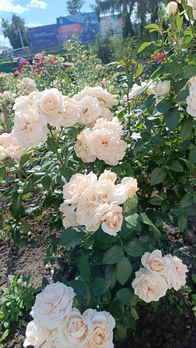 Фото от Риты