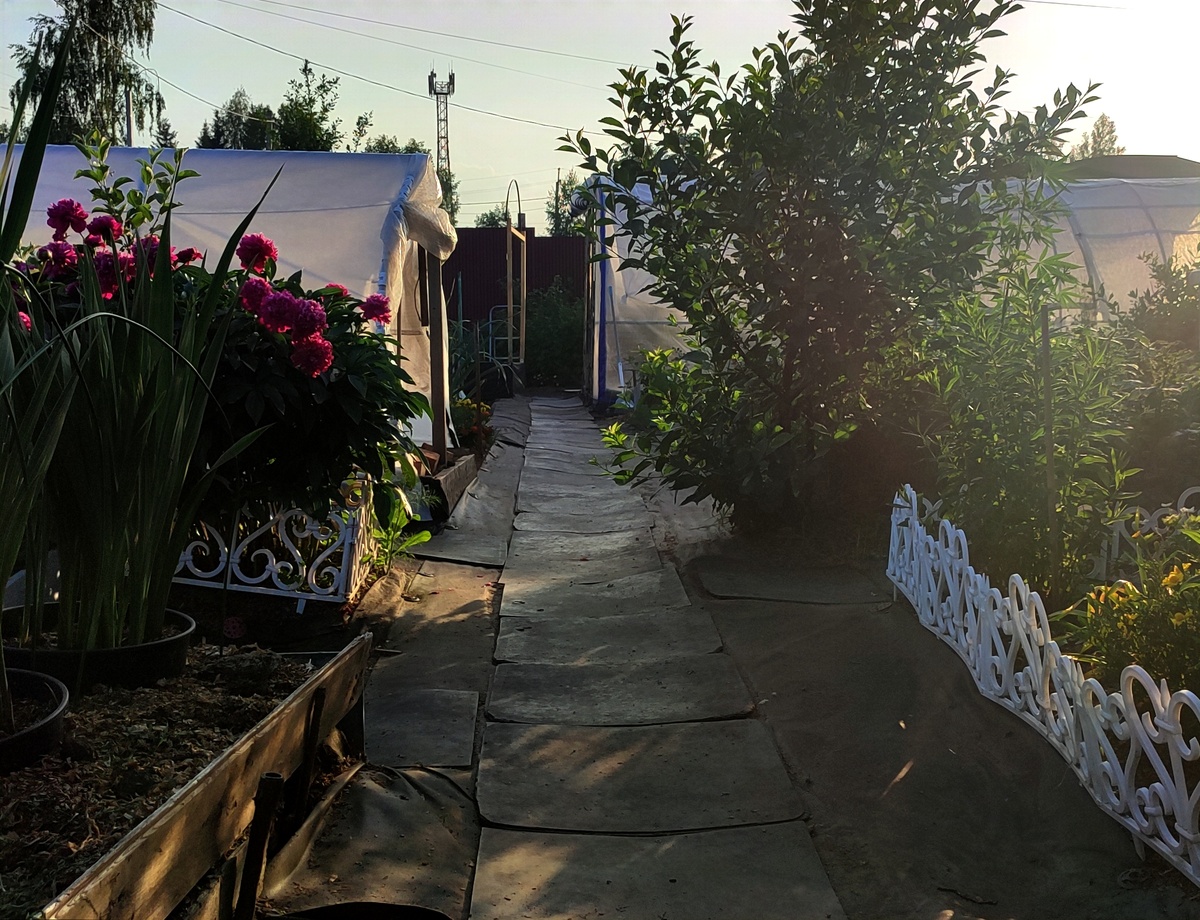 Вот она моя дорожка прикрученная на шурупы 😃