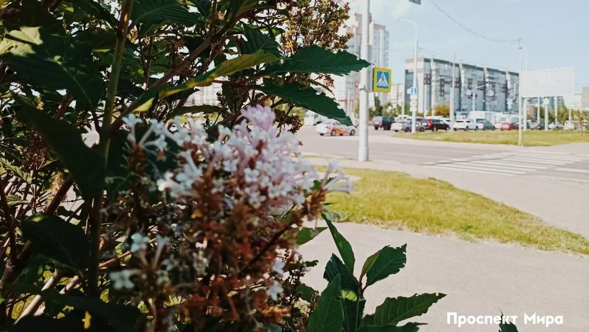     Источник: prmira.ru