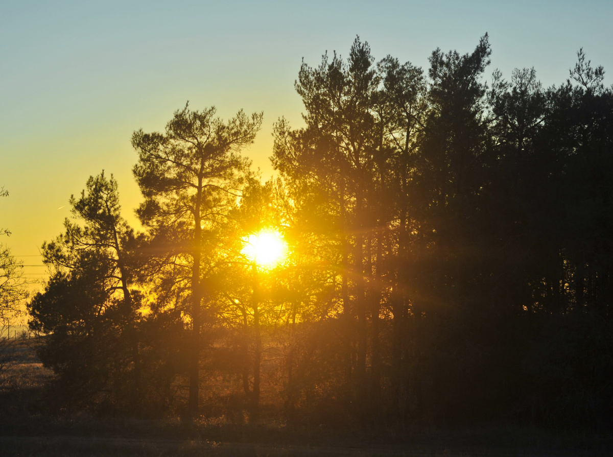 © Фото: ИД «Волгоградская правда» / архив