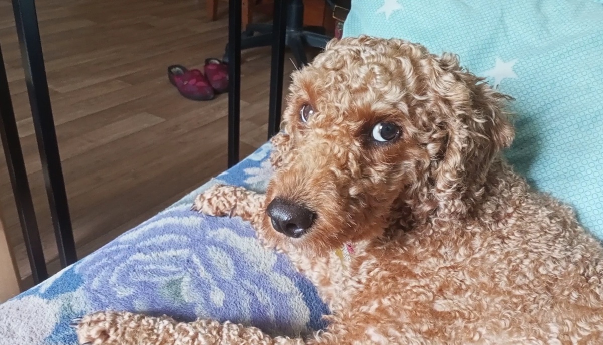 Румпель: - У всех должно быть своё место. 