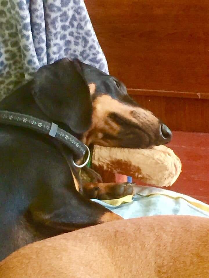 Работа над диваном