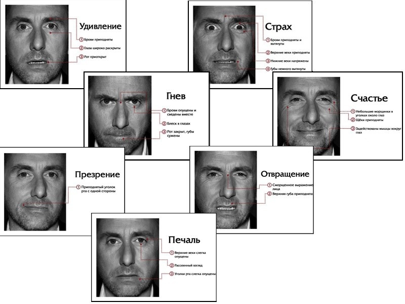 Пол Экман являлся консультантом сериала «Обмани меня», он же стал прототипом главного героя — доктора Кэла Лайтмана