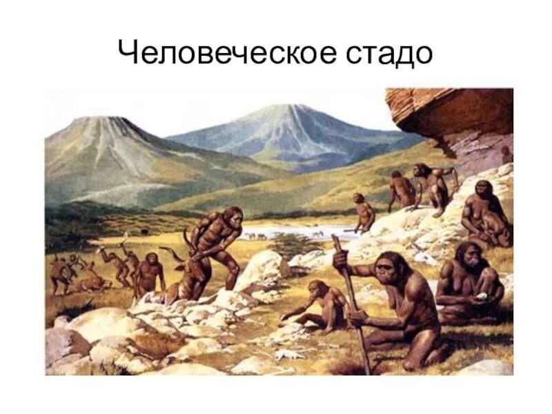 Первобытное стадо