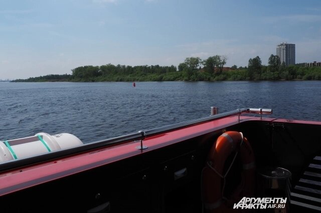    Фото:  АиФ/ Ирина Чеснокова