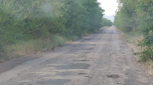 Куропатки с малышами:) Так и не осмелились перебежать через дорогу