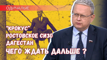 От «Крокуса» до терактов в Дагестане и отравления ботулизмом – зачем одичалые пилят сук, на котором сидят?