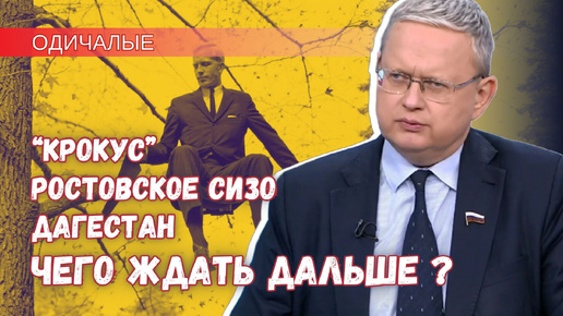 От «Крокуса» до терактов в Дагестане и отравления ботулизмом – зачем одичалые пилят сук, на котором сидят?